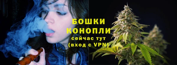 спайс Верея