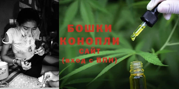 спайс Верея