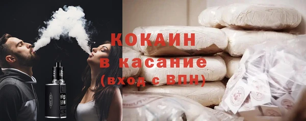 индика Володарск