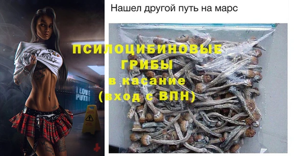 шишки Верхнеуральск