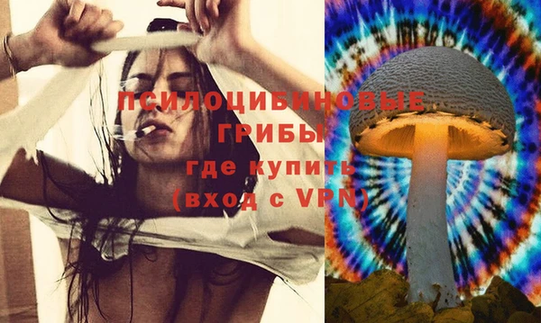 шишки Верхнеуральск