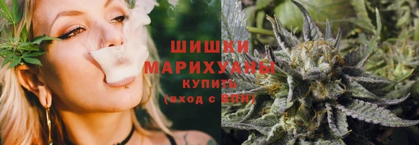 ПСИЛОЦИБИНОВЫЕ ГРИБЫ Верхний Тагил